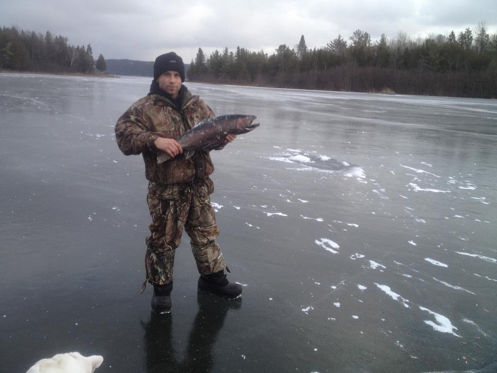 Lang Lake Resort Espanola Eksteriør bilde